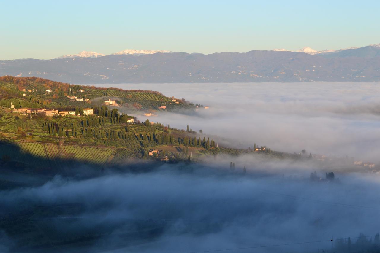 Tenuta Di Capezzana Bed and Breakfast Seano Eksteriør billede