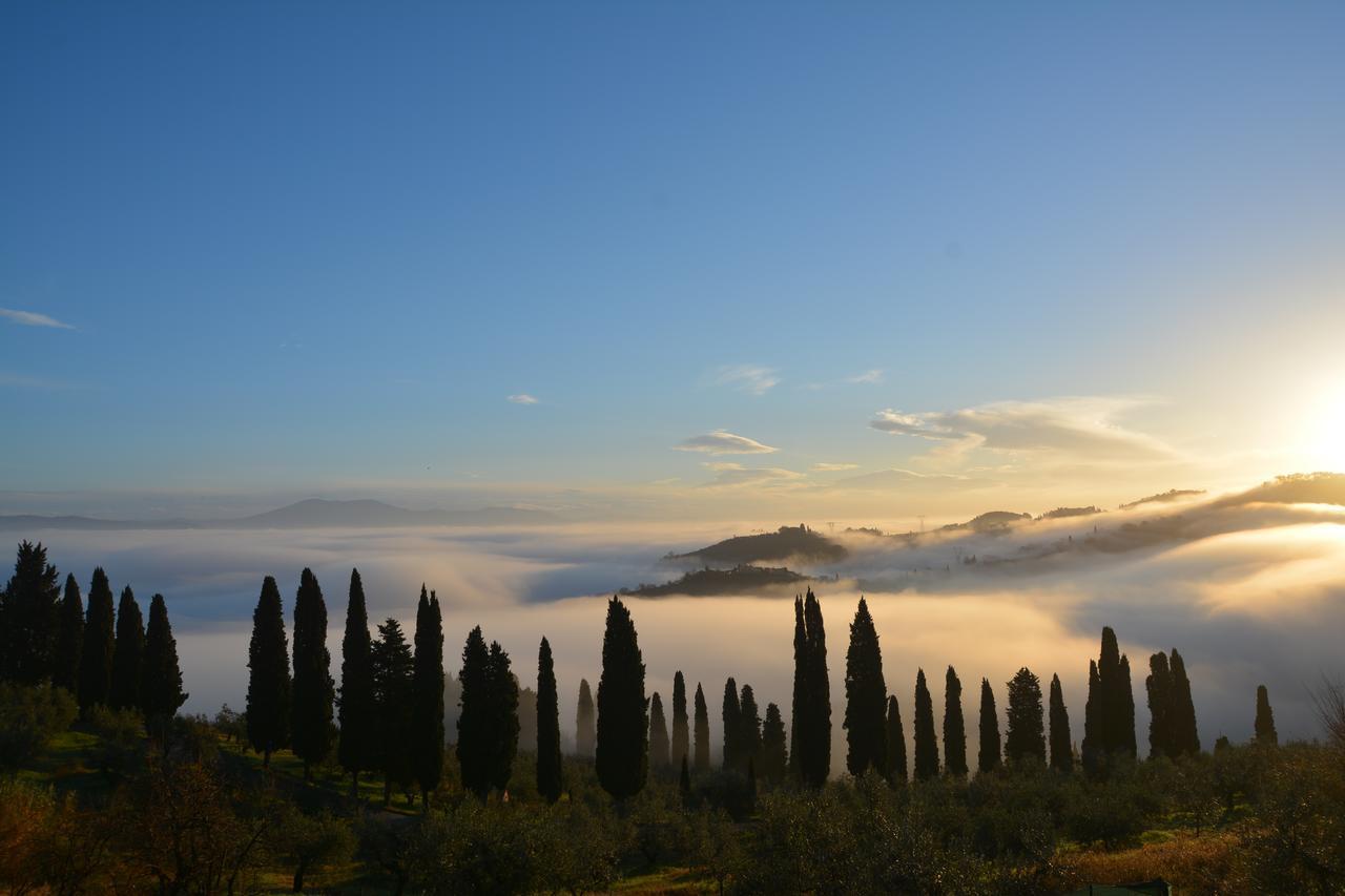 Tenuta Di Capezzana Bed and Breakfast Seano Eksteriør billede